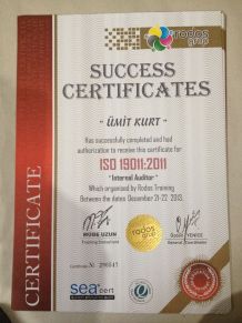 ISO 19011 : 2001 